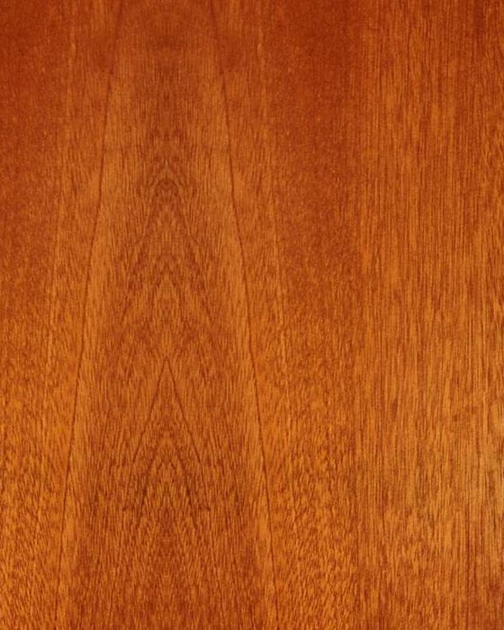 Custom Wood Panels for the Moog Minitaur or Sirin