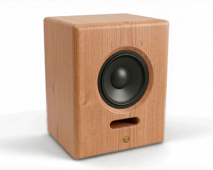 The Dividend 12 Loudspeaker