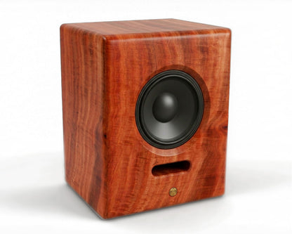 The Dividend 12 Loudspeaker