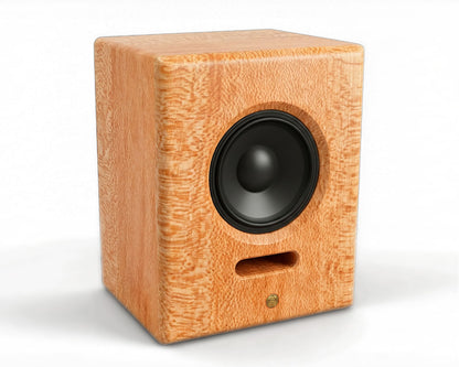 The Dividend 12 Loudspeaker